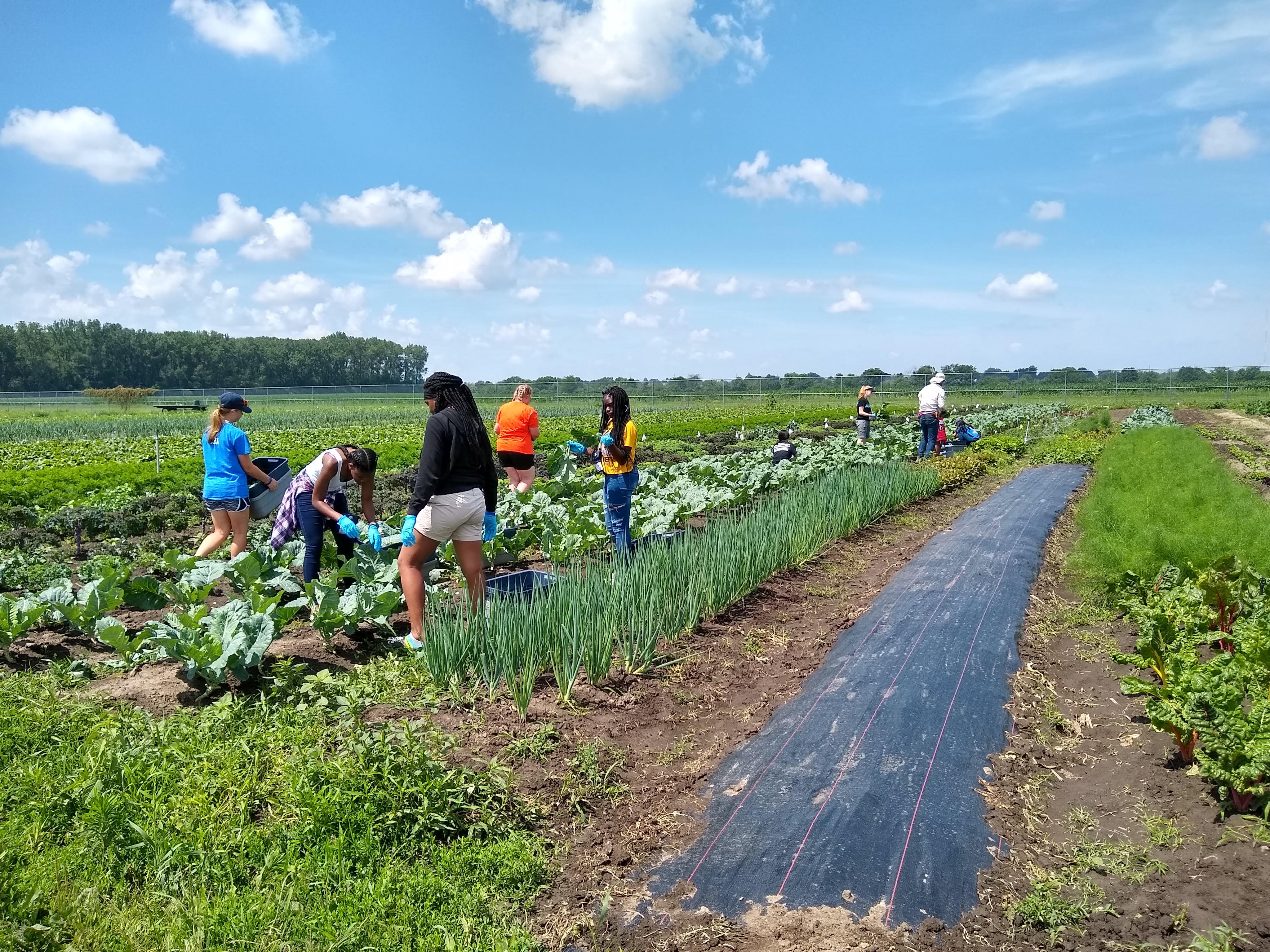 Crop Science