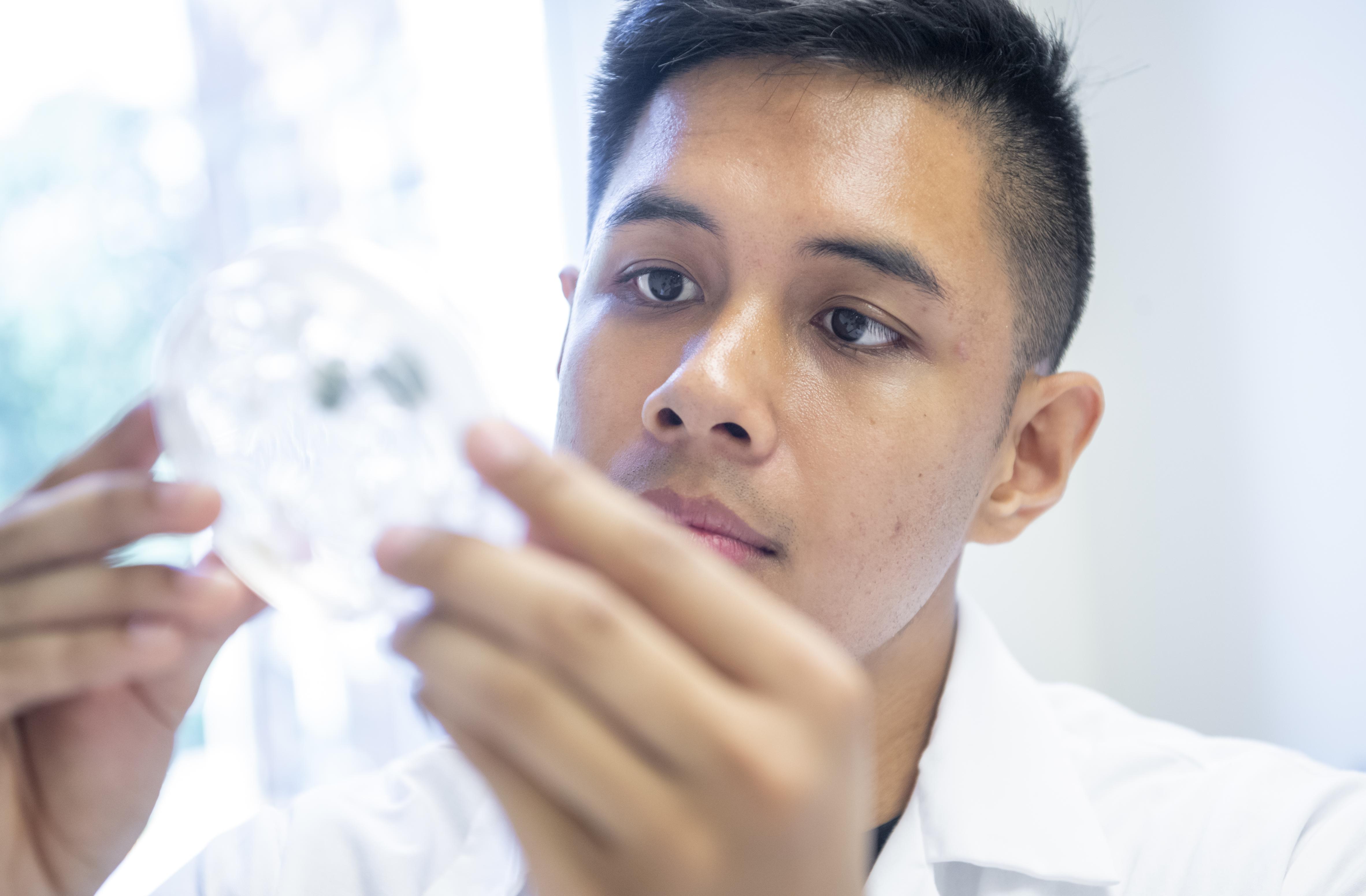 Student holding up petri dish and examining it