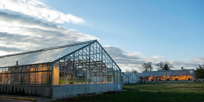 Outside of two greenhouses
