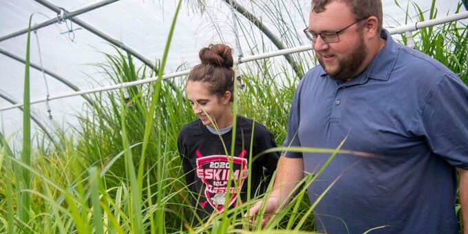 Two students examining grass in a greenhouse