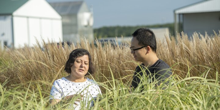 People examining grass in a field