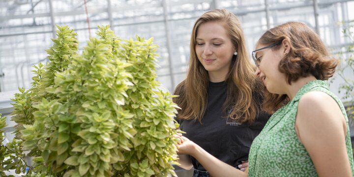 Two students inspecting a plant in the greenhouse