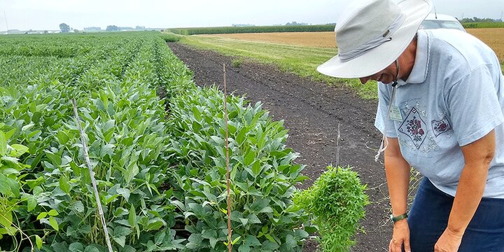 Students observing crops outsite