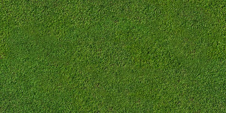 golf green grass