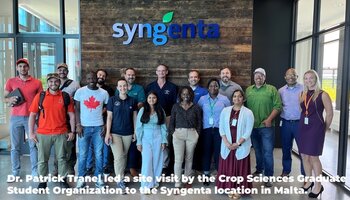 syngenta