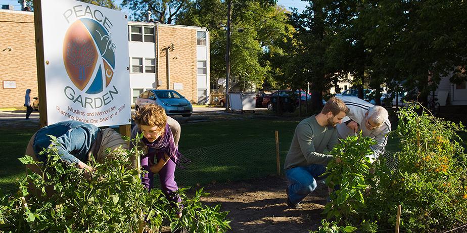 Students working in a garden